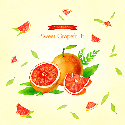 PSD 잎 일러스트 단면 사람없음 노란색 달콤 자몽 반쪽 슬라이스 과일조각 제철 제철음식 제철과일 국내일러스트 식물 음식 컬러 조각 과일 맛 파일형식