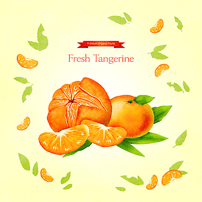 PSD 잎 일러스트 귤 사람없음 노란색 신선 과일조각 제철 제철음식 제철과일 국내일러스트 식물 음식 컬러 조각 과일 파일형식