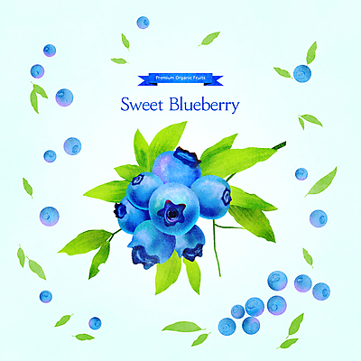 PSD 줄기 잎 일러스트 사람없음 파란색 달콤 블루베리 제철 제철음식 제철과일 국내일러스트 식물 음식 컬러 과일 맛 파일형식