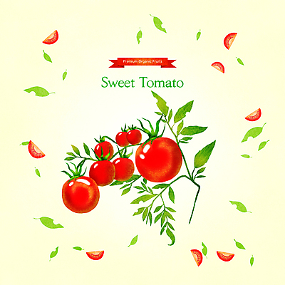 PSD 줄기 잎 일러스트 방울토마토 사람없음 노란색 달콤 과일조각 제철 제철음식 제철과일 국내일러스트 식물 음식 컬러 조각 토마토 과일 맛 파일형식
