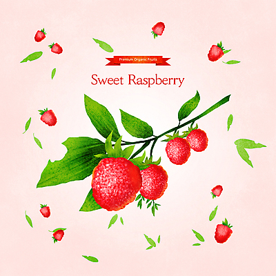 PSD 줄기 분홍색 잎 일러스트 사람없음 달콤 제철 제철음식 제철과일 국내일러스트 식물 음식 컬러 과일 맛 파일형식