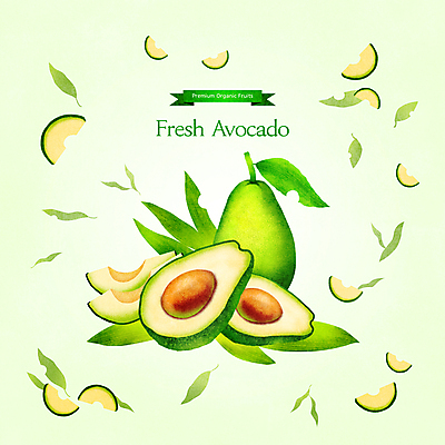 PSD 잎 일러스트 단면 사람없음 연두색 신선 슬라이스 아보카도 과일조각 제철 제철음식 제철과일 국내일러스트 식물 음식 조각 과일 초록색 파일형식