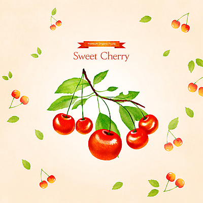 PSD 줄기 일러스트 나뭇잎 사람없음 주황색 나뭇가지 체리 달콤 제철 제철음식 제철과일 국내일러스트 나무 식물 음식 컬러 잎 과일 맛 파일형식