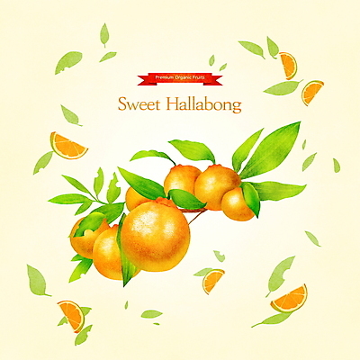 PSD 일러스트 나뭇잎 사람없음 노란색 나뭇가지 달콤 한라봉 과일조각 제철 제철음식 제철과일 국내일러스트 나무 음식 컬러 조각 잎 과일 맛 파일형식