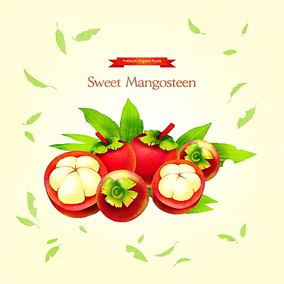 PSD 잎 일러스트 사람없음 노란색 달콤 슬라이스 망고스틴 제철 제철음식 제철과일 국내일러스트 식물 음식 컬러 과일 맛 파일형식