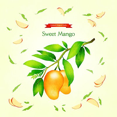 PSD 일러스트 나뭇잎 사람없음 노란색 나뭇가지 달콤 망고 과일조각 제철 제철음식 제철과일 국내일러스트 나무 음식 컬러 조각 잎 과일 맛 열대과일 파일형식
