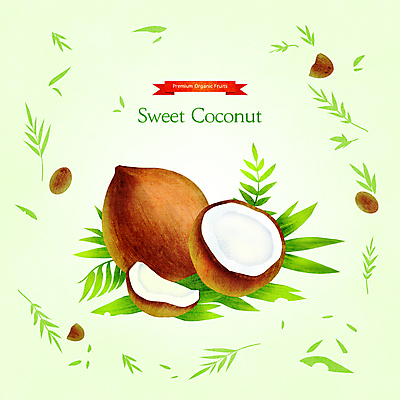 PSD 잎 일러스트 단면 사람없음 연두색 달콤 슬라이스 코코넛 과일조각 제철 제철음식 제철과일 국내일러스트 식물 음식 조각 과일 초록색 맛 파일형식
