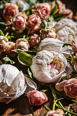 포토 JPG 꽃다발 실내 사람없음 아웃포커스 장미 가득함 감성 작약 일산 국내포토 꽃 컨셉 촬영기법 내부 경기도 파일형식