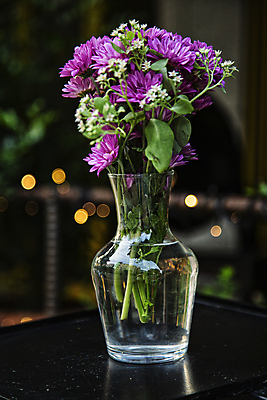 포토 JPG 잎 유리병 서울 실내 사람없음 꽃병 데이지 보케 감성 국내포토 식물 꽃 컨셉 병_용기 한국 내부 파일형식