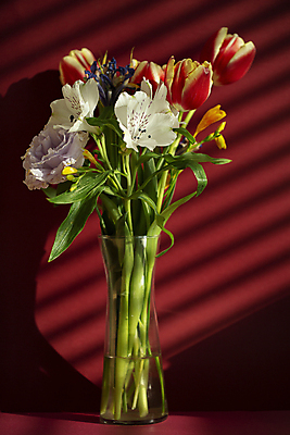 포토 JPG 유리병 서울 실내 그림자 사람없음 햇빛 꽃병 튤립 감성 강렬 빨간배경 알스트로에메리아 국내포토 꽃 백그라운드 컨셉 병_용기 한국 내부 빨간색 태양 파일형식