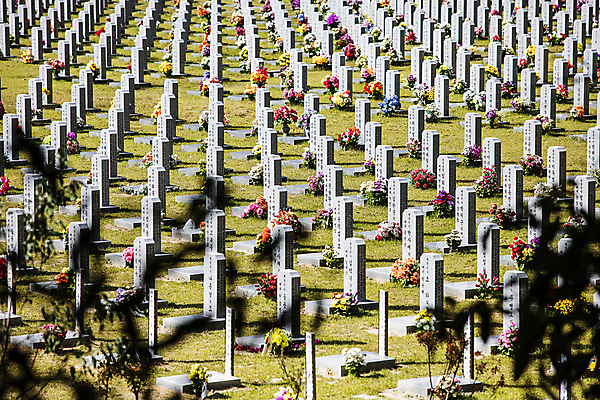 포토 JPG 주간 나뭇잎 풍경 사람없음 야외 무덤 비석 현충일 국립묘지 대전 호국보훈의달 현충원 국내포토 자연요소 기념일 잎 한국 묘지 6월 파일형식