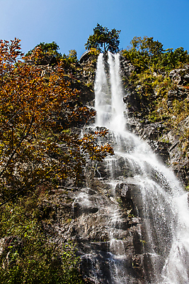 포토 JPG 주간 나무 자연 하늘 사람없음 야외 가을풍경 절벽 폭포 가을 강원도 화천 국내포토 자연요소 식물 계절 한국 풍경 생태계 파일형식 가을_계절