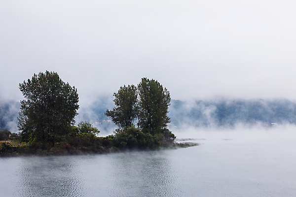 포토 JPG 주간 나무 자연 풍경 사람없음 야외 강 안개 강원도 흐림 화천 국내포토 자연요소 식물 날씨 한국 생태계 파일형식