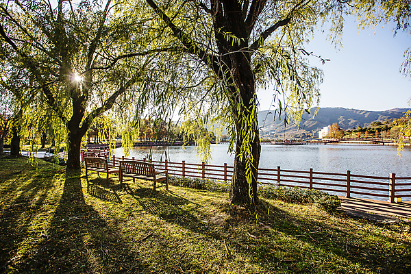 포토 JPG 주간 나무 공원 호수 벤치 하늘 그림자 풍경 사람없음 야외 햇빛 전라북도 나무울타리 남원 국내포토 자연요소 식물 공공시설 의자 울타리 태양 전라도 파일형식