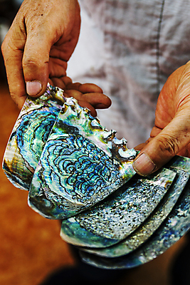 포토 JPG 손 재료 조개 실내 들기 신체부위 장식 조개껍데기 공예 전통공예 원주 강원도 나전칠기 국내포토 모션 어패류 한국 사람 취미 내부 공예품 파일형식