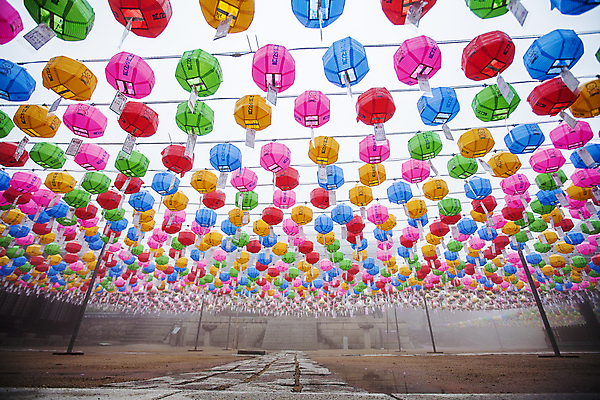 포토 JPG 주간 실내 사람없음 야외 안개 사찰 연등 동화사 연등축제 대구시 국내포토 자연요소 종교건축 날씨 한국 내부 축제 등불 불교용품 파일형식