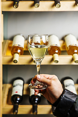 포토 JPG 손 와인잔 주류 실내 들기 신체부위 와인 화이트와인 와인병 진열장 경기도 안산 와인창고 국내포토 음료 술잔 모션 병_용기 한국 사람 내부 창고 파일형식