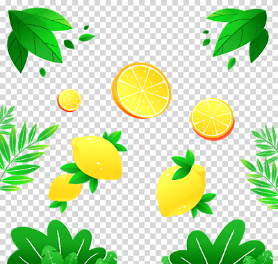 편집 편집이미지 잎 누끼 사람없음 초록색 여름 여름휴가 바캉스 시원함 레몬 슬라이스 PNG 과일조각 트로피컬아트 편집소스 여름축제 식물 계절 컬러 조각 과일 휴가 축제 그림 파일형식 여름_계절