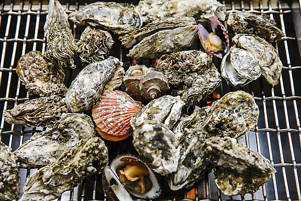 포토 JPG 어패류 실내 사람없음 굴 소라 그릴 충청남도 굽기 구이 가리비 자연산 조개구이 보령 국내포토 동물 음식 자연 주방용품 조개 내부 충청도 파일형식