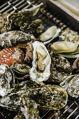 포토 JPG 어패류 실내 사람없음 굴 그릴 충청남도 굽기 구이 가리비 자연산 조개구이 보령 국내포토 동물 음식 자연 주방용품 조개 내부 충청도 파일형식