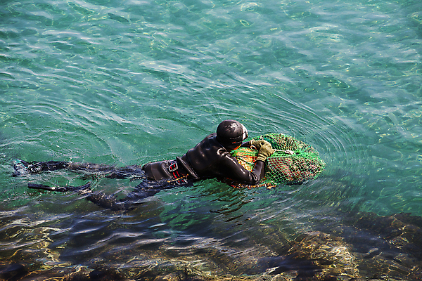 포토 JPG 주간 여자 바다 한명 풍경 성인 야외 제주시 해녀 물질 해녀도구 해녀복장 여자한명만 성인한명만 테왁 국내포토 자연요소 직업 1 옷 사람 제주도 도구 어구 여자만 성인만 파일형식