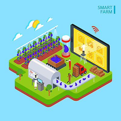 전신 나무 구름 여자 남자 밭 일러스트 사다리 가지 서기 들기 여러명 성인 태블릿 태양 농사 농부 나무상자 스마트 로봇 와이파이 지게차 택배상자 아이소메트릭 원격 원격조종 컨베어밸트 성인만 스마트팜 ICT 국내일러스트 AI파일 자연요소 식물 직업 다수 컨셉 농업 채소 모션 정보통신 사람 전자제품 스마트기기 상자 농장 기계 도구 중장비 택배 무선인터넷 파일형식 벡터 4차산업