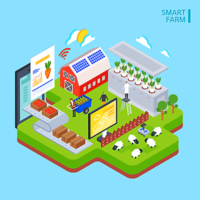 전신 나무 구름 남자 일러스트 사다리 서기 상반신 성인 세명 스마트폰 태양 모니터 농사 수레 양 농부 무 일기예보 스마트 로봇 창고 와이파이 양떼 택배상자 아이소메트릭 나무울타리 수레끌기 양떼목장 원격 원격조종 컨베어밸트 성인남자만 스마트팜 ICT 국내일러스트 AI파일 자연요소 식물 직업 컨셉 농업 포유류 모션 정보통신 뿌리채소 사람 핸드폰 스마트기기 울타리 컴퓨터 상자 농장 기계 카트 목장 도구 당기기 택배 무선인터넷 남자만 성인만 파일형식 벡터 4차산업