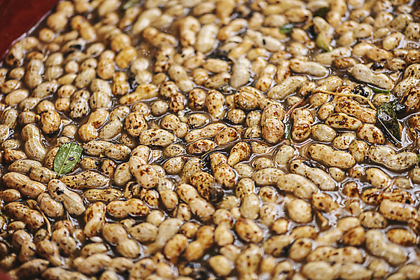 포토 JPG 주간 식재료 사람없음 야외 물 농작물 수확 씻기 가득함 유기농 땅콩 국내포토 여주시 자연요소 웰빙 농업 청결 견과류 경기도 파일형식