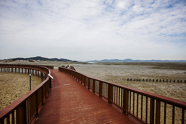 포토 JPG 주간 구름 바다 하늘 사람없음 야외 전라남도 갯벌 나무길 나무울타리 무안 국내포토 자연요소 길 울타리 전라도 파일형식