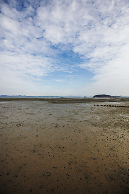 포토 JPG 주간 구름 바다 자연 하늘 사람없음 야외 전라남도 갯벌 무안 국내포토 자연요소 전라도 생태계 파일형식