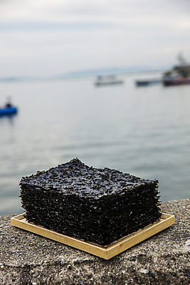 포토 JPG 주간 바다 사람없음 야외 아웃포커스 김 전라남도 나무쟁반 무안 선박 국내포토 자연요소 수상교통 쟁반 촬영기법 목재 해조류 전라도 파일형식
