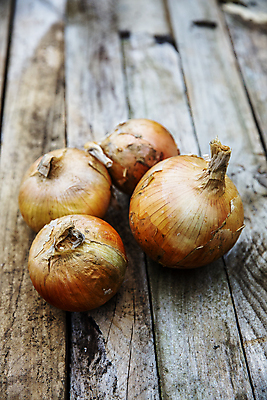포토 JPG 주간 식재료 양파 사람없음 야외 전라남도 나무탁자 무안 무안양파 국내포토 자연요소 채소 탁자 전라도 특산물 파일형식