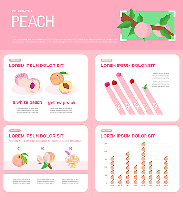 그릇 분홍색 일러스트 그래프 나뭇잎 종류 사람없음 인포그래픽 나뭇가지 재료손질 복숭아 과즙 과도 백도 황도 국내일러스트 AI파일 나무 식기 컬러 잎 과일 손질 파일형식 벡터