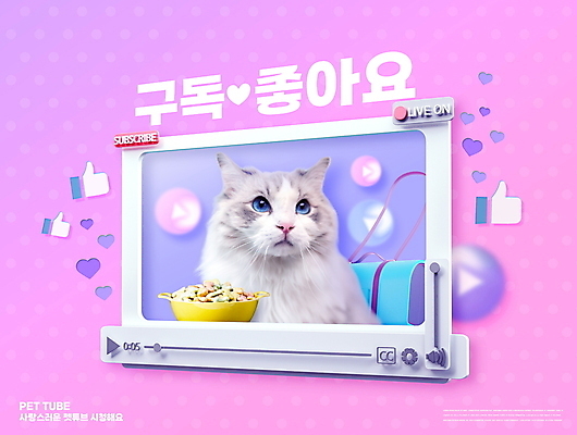 PSD 편집이미지 한마리 분홍색 타이포그라피 사람없음 고양이 하트 먹이 동영상 구독 동영상창 라이브 애완용사료 플레이 인터넷방송 크리에이터 반려묘 유튜버 스트리밍 랙돌 유튜브 이미지편집 모양 직업 문자 1 컬러 포유류 반려동물 방송 파일형식 1인미디어