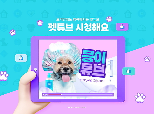 PSD 편집이미지 한마리 손 반려견 말풍선 들기 타이포그라피 신체부위 파란색 태블릿 보라색 목욕 강아지 동영상 씻겨주기 애견샴푸 인터넷방송 크리에이터 유튜버 믹스견 유튜브 이미지편집 직업 문자 1 컬러 모션 사람 전자제품 스마트기기 반려동물 청결 개 애견용품 파일형식 1인미디어