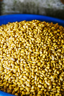 포토 JPG 식재료 콩 실내 사람없음 바구니 가득함 담기 강원도 강릉 국내포토 모션 곡류 한국 내부 파일형식