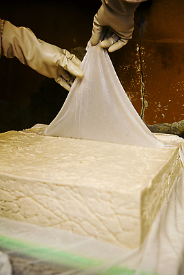 포토 JPG 손 음식 식재료 실내 신체부위 잡기 천 벗겨짐 강원도 강릉 초당두부 국내포토 모션 한국 사람 내부 직물 두부 파일형식