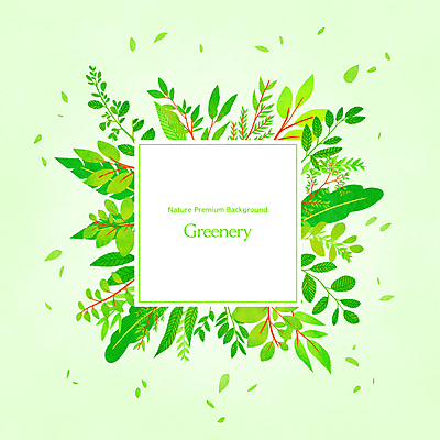 PSD 식물 잎 일러스트 나뭇잎 사각프레임 사람없음 연두색 정사각형 화사함 프레임일러스트 카피스페이스 국내일러스트 도형 컨셉 프레임 초록색 사각형 공백 파일형식