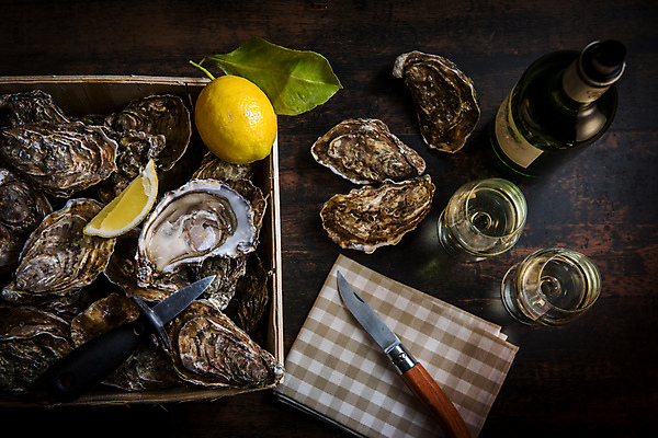 포토 JPG 해외이미지 접시 음식 바다 백그라운드 조개 사람없음 바구니 와인 얼음 검은색 어둠 추위 껍질 굴 신선 오픈 그물 고급 레몬 해산물 날것 석판 식품점 흑연 맛있는 해외포토 자연요소 식기 컬러 컨셉 과일 어패류 주류 상점 광석 파일형식 이미지허브