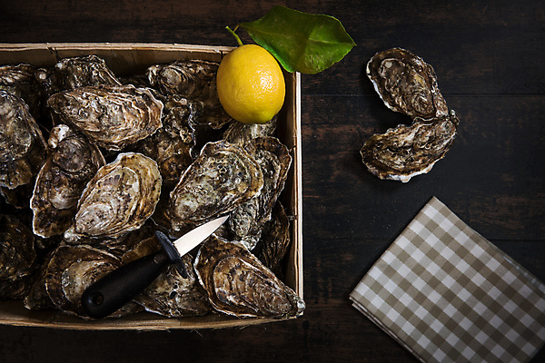 포토 JPG 해외이미지 접시 음식 바다 백그라운드 조개 사람없음 바구니 와인 얼음 검은색 어둠 추위 껍질 굴 신선 오픈 그물 고급 레몬 해산물 날것 석판 식품점 흑연 맛있는 해외포토 자연요소 식기 컬러 컨셉 과일 어패류 주류 상점 광석 파일형식 이미지허브