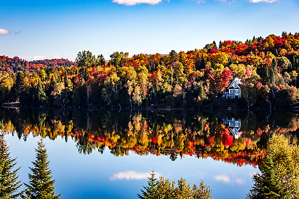 포토 JPG 해외이미지 나무 호수 캐나다 사람없음 물 햇빛 반사 숲 해외포토 자연요소 식물 북아메리카 태양 파일형식 이미지허브