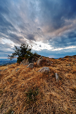 포토 JPG 해외이미지 나무 계절 공원 여행 오렌지 자연 하늘 산 사람없음 야외 초록색 파란색 빛 햇빛 태양 노란색 우주 환경 황금 숲 언덕 내추럴 세르비아 전국 해외포토 자연요소 식물 공공시설 컬러 과일 생태계 파일형식 이미지허브
