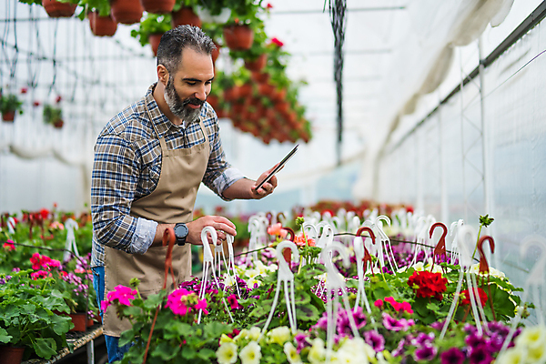 포토 JPG 해외이미지 식물 백인 직업 꽃 산업 화분 40대 사업가 성공 노동자 수염 실내 한명 성인 태블릿 상점 앞치마 성장 벚꽃 작업 꽃집 창고 원예 주인 진행 온실 피튜니아 중소기업 해외포토 서양인 1 중년 컨셉 회사 사람 취미 내부 전자제품 스마트기기 파일형식 이미지허브