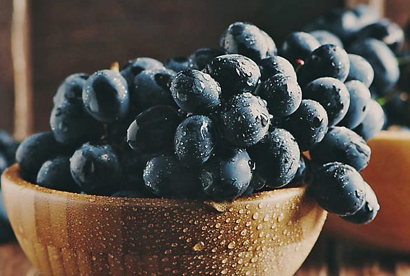 포토 JPG 해외이미지 음식 여행 자연 풍경 사람없음 뷰티 해외포토 생태계 파일형식 이미지허브