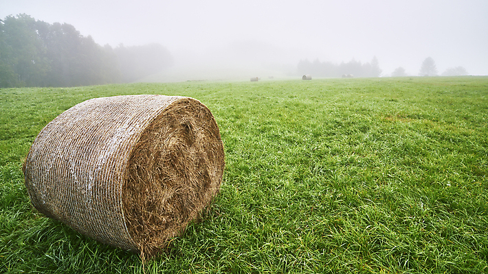 포토 JPG 해외이미지 나무 계절 음식 밭 농업 자연 날씨 건조 땋은머리 초원 사람없음 야외 가로 초록색 농작물 농장 쌓기 목장 수확 안개 가을 시골 원형 볏짚 묘사 질감 롤 뭉치 밀짚 내추럴 뿌연 실린더 해외포토 도형 식물 헤어스타일 산업 컬러 모션 짚 생태계 파일형식 이미지허브