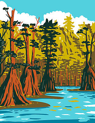 JPG 해외이미지 나무 일러스트 자연 국립공원 사람없음 강 그림 카툰스타일 플로리다 해외일러스트 식물 공원 미국 생태계 파일형식 이미지허브