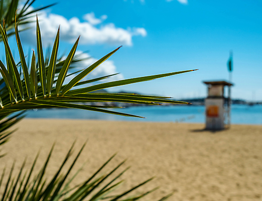 포토 JPG 해외이미지 나무 구름 모래 파도 바다 여행 백그라운드 잎 하늘 휴가 경비 안전 사람없음 목재 물 여름 야자수 탑 맑음 수영 나뭇가지 전원 긴급 관찰 서핑 구출 역 보호 위험 오두막 탈출 보안 하와이 캘리포니아 안전요원 파라다이스 플로리다 전경 해외포토 자연요소 식물 건축물 계절 컨셉 재료 교통시설 모션 날씨 풍경 미국 수상스포츠 도움 전기에너지 파일형식 탑뷰 이미지허브