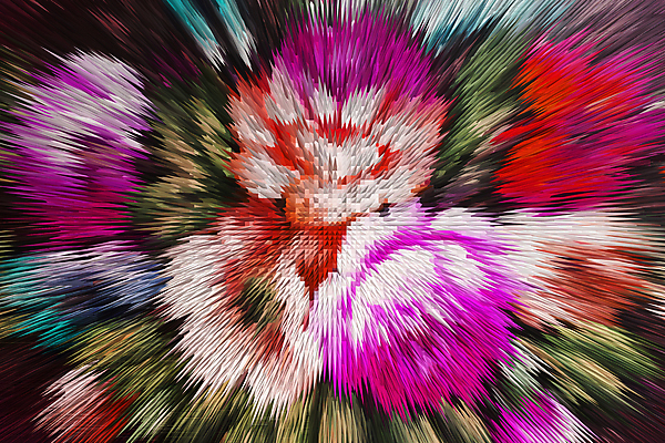 포토 JPG 해외이미지 식물 디자인 꽃 백그라운드 컨셉 잎 패턴 오렌지 일러스트 추상 미술 사람없음 파란색 컬러풀 뷰티 3D 디지털 정원 어둠 봄 블록 직물 신선 실크 그림 질감 피라미드 날카로움 장면 유지 구성 블러 효과 해외일러스트 건축물 계절 컬러 무늬 과일 문화예술 디지털합성 랜드마크 파일형식 이미지허브