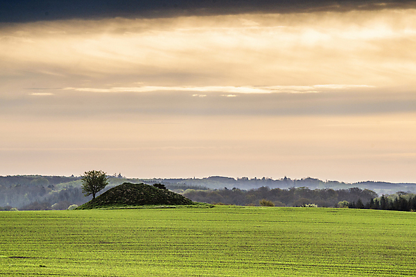 포토 JPG 해외이미지 건축물 유럽 문화 여행 밭 자연 아침 잉글랜드 안테나 덴마크 풍경 사람없음 야외 가로 초록색 일출 시골 중세 역사 언덕 기간 서쪽 옛날 해외포토 주간 건축 나라 컬러 농업 통신 영국 북유럽 노을 방향 생태계 파일형식 이미지허브