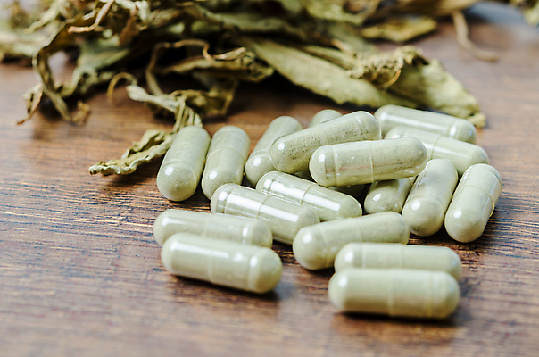 포토 JPG 해외이미지 식물 과학 컨셉 잎 재료 자연 건조 건강 사람없음 치료 초록색 알약 약 숟가락 신선 선택 약초 약국 허브 유기농 아로마 향 비타민 테라피 조제 내추럴 보충 돌봄 마약 막자 진통제 치료제 해외포토 웰빙 컬러 의학 모션 수저 뷰티 풀_식물 생태계 만들기 영양소 파일형식 이미지허브